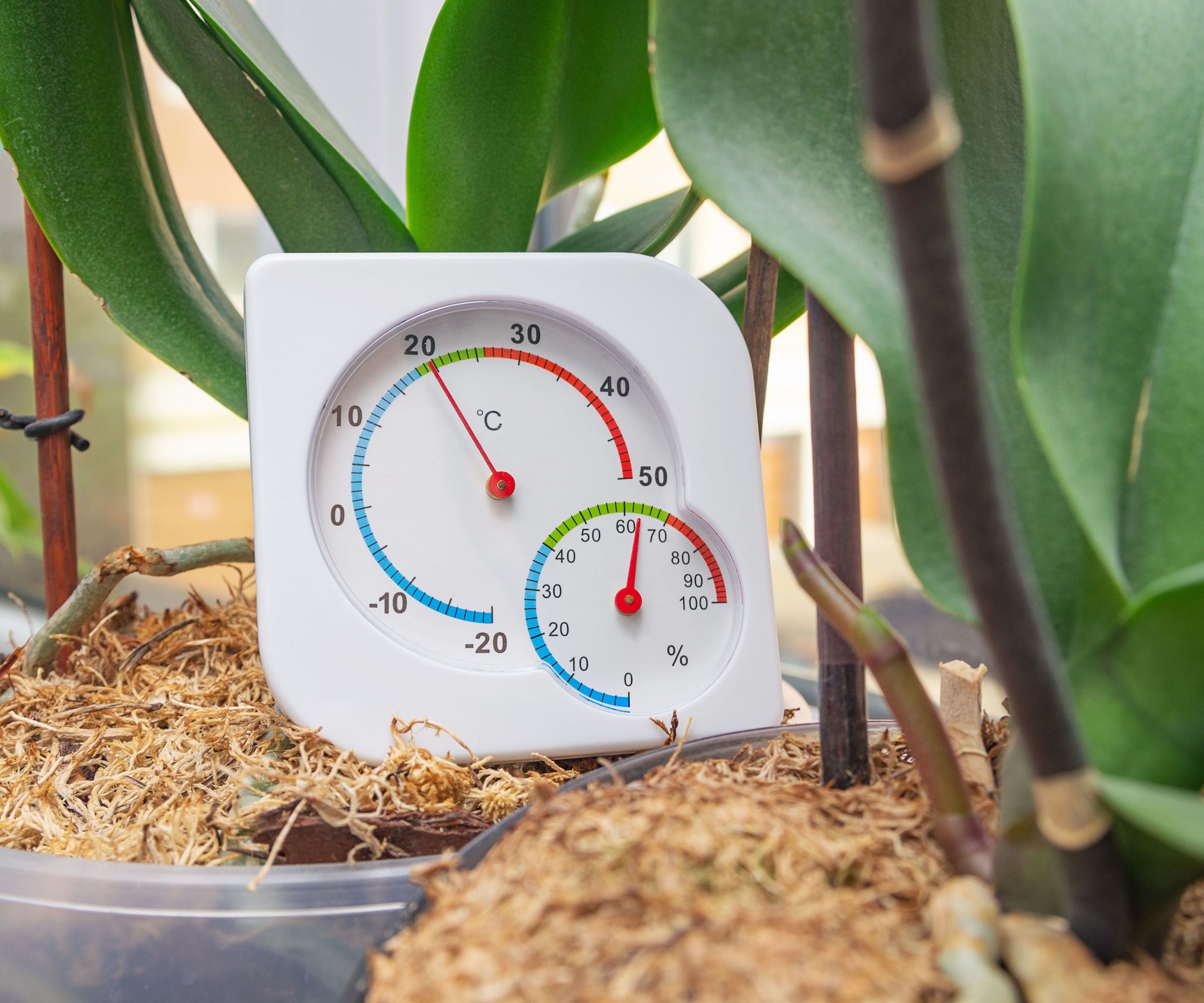 Potteplante fuktighetsmåler og termometer