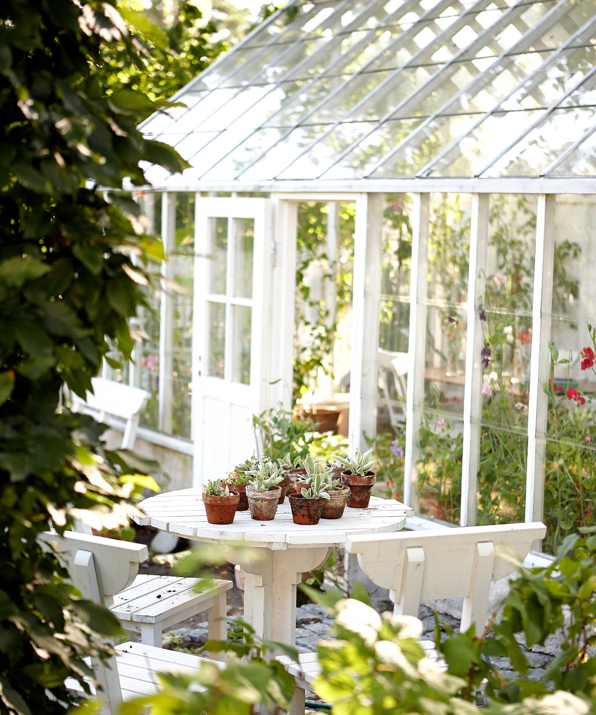 pent drivhus med utebord og potteplanter