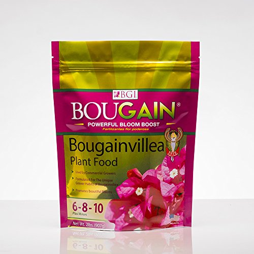 Bougainvillea gjødsel