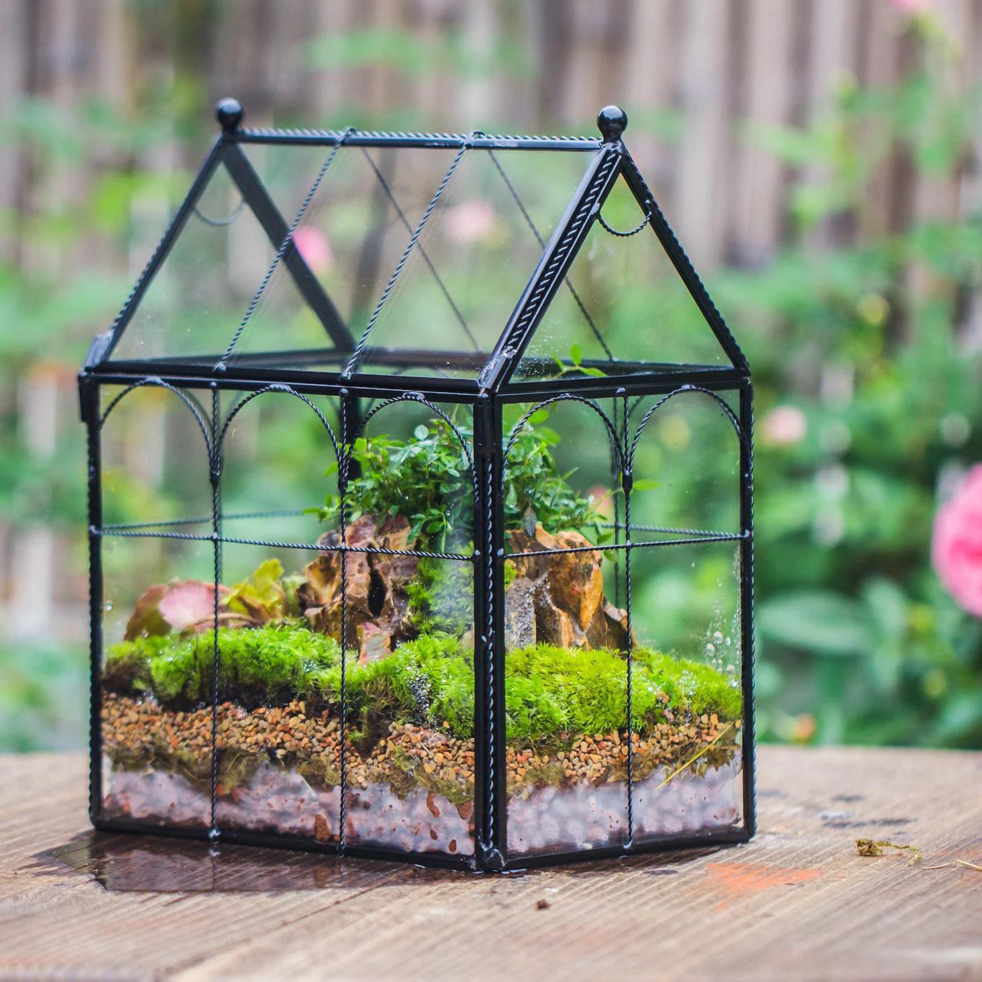 Et husformet terrarium fylt med mose og småplanter