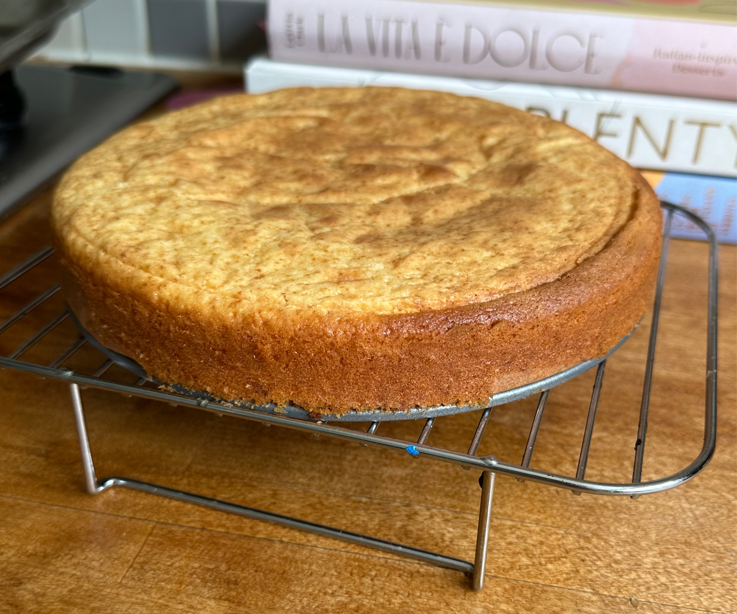 Airfryer svampkake