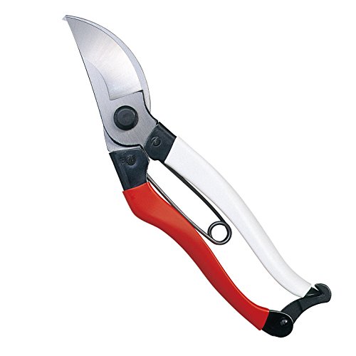 Beskjaere Furu () Beskjaere Furu