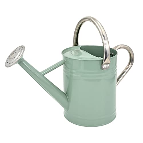 Lechloris metall vannkanne for utendørs planter, galvanisert stål vannkanne med avtakbar tut, 1 gallon, perfekt hjemme- og hageinnredning kremgrønn