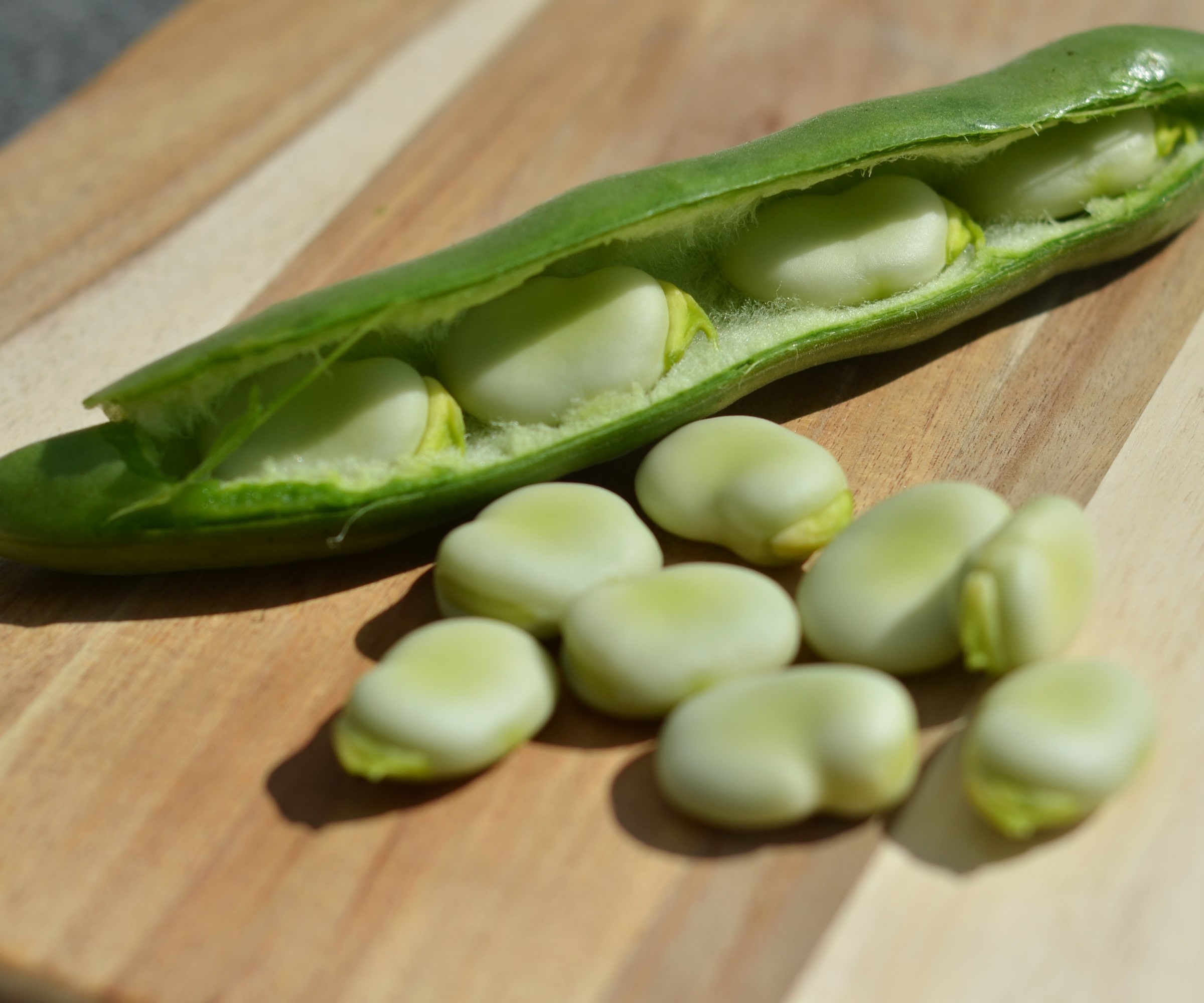 En fava bønnebelg og bønner på en treplate