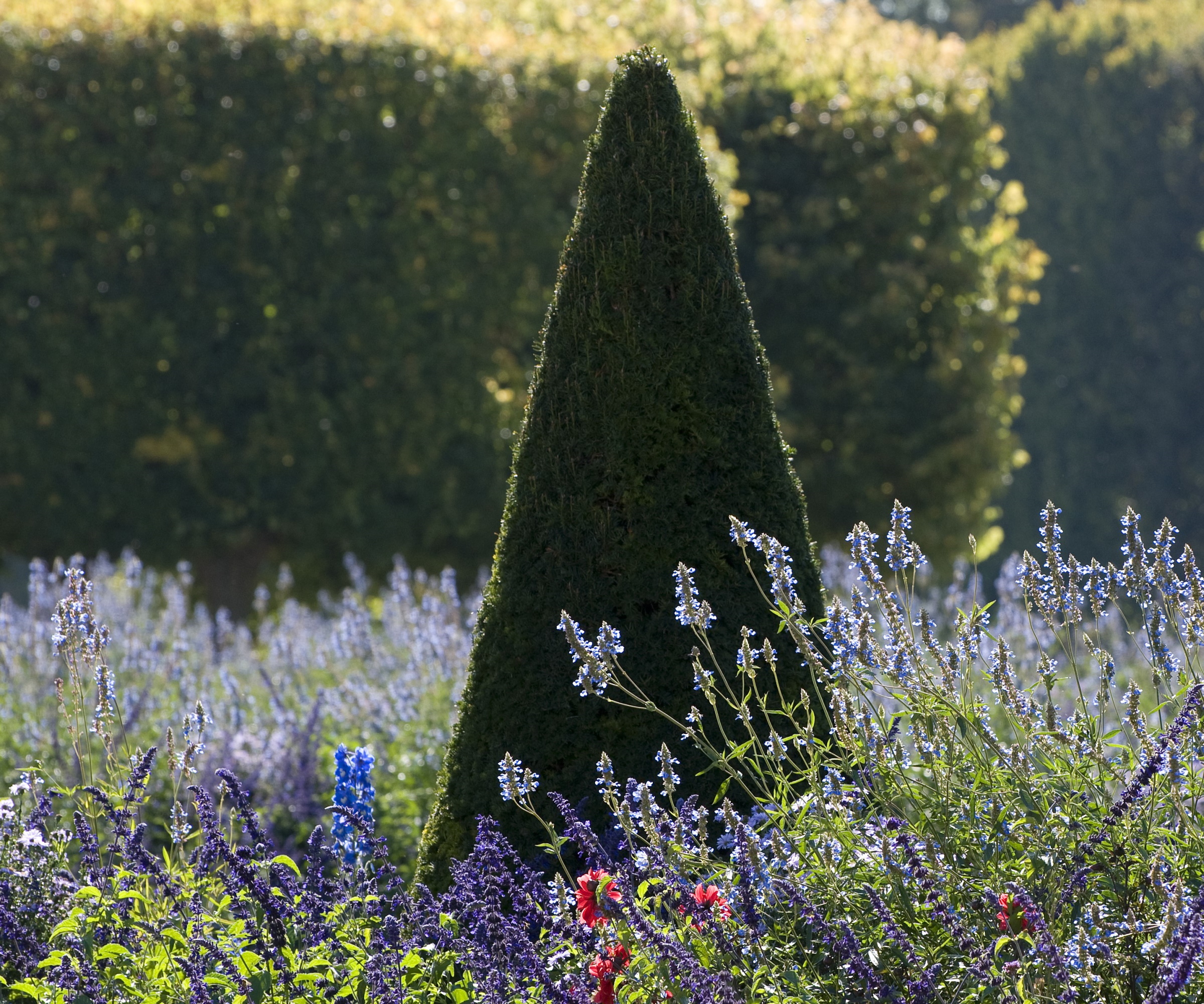 Hyttehagekant med barlind og flerårig planting