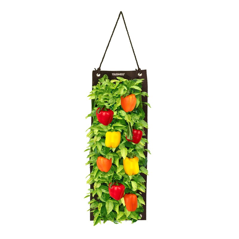 Touch of Eco Touch of Eco økologisk frø hengende planteposesett - søt pepper og anmeldelser | Wayfair