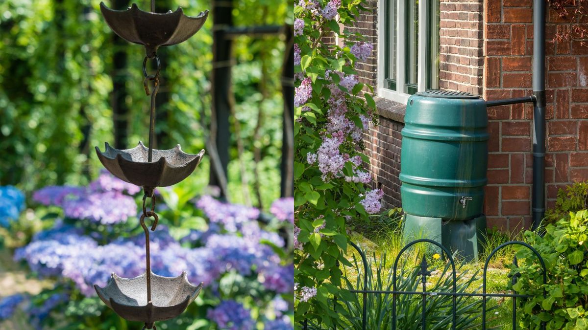 Regnkjeder vs regntønner: hvilket vannstyringssystem er best – og hva skjer hvis du kombinerer dem?