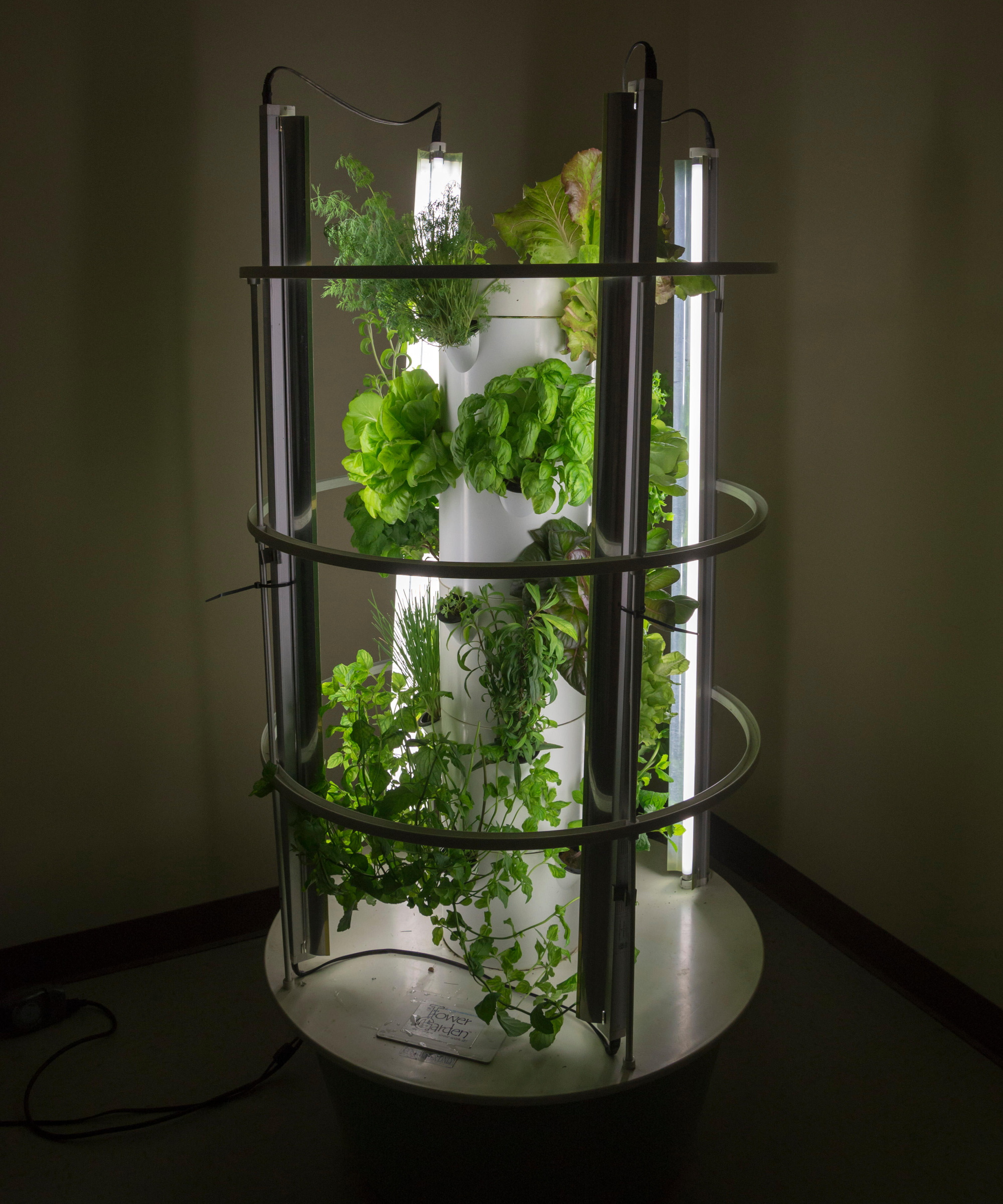 Hydroponics hage