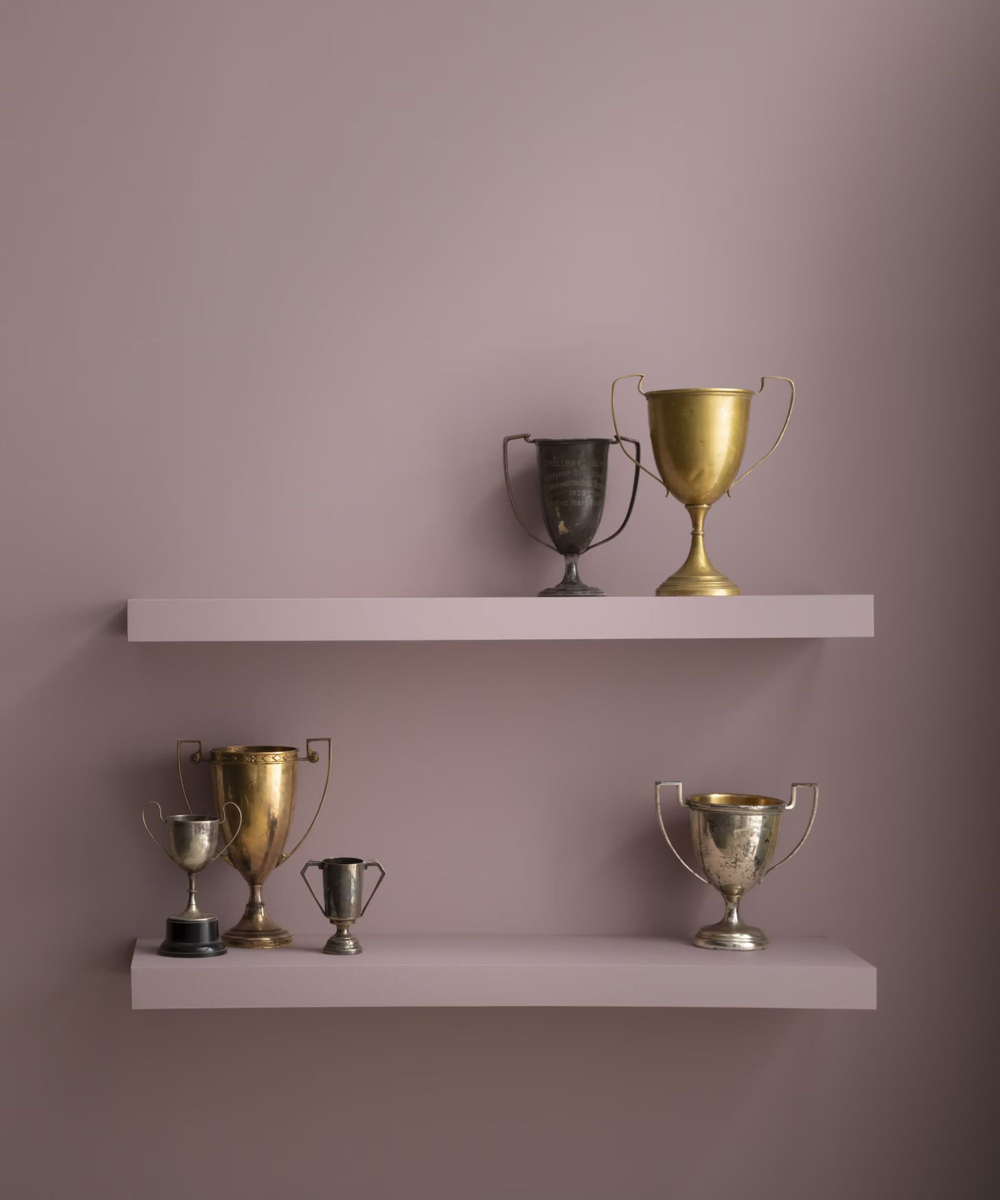 lilla vegg med to gallerihyller med samling av trofeer