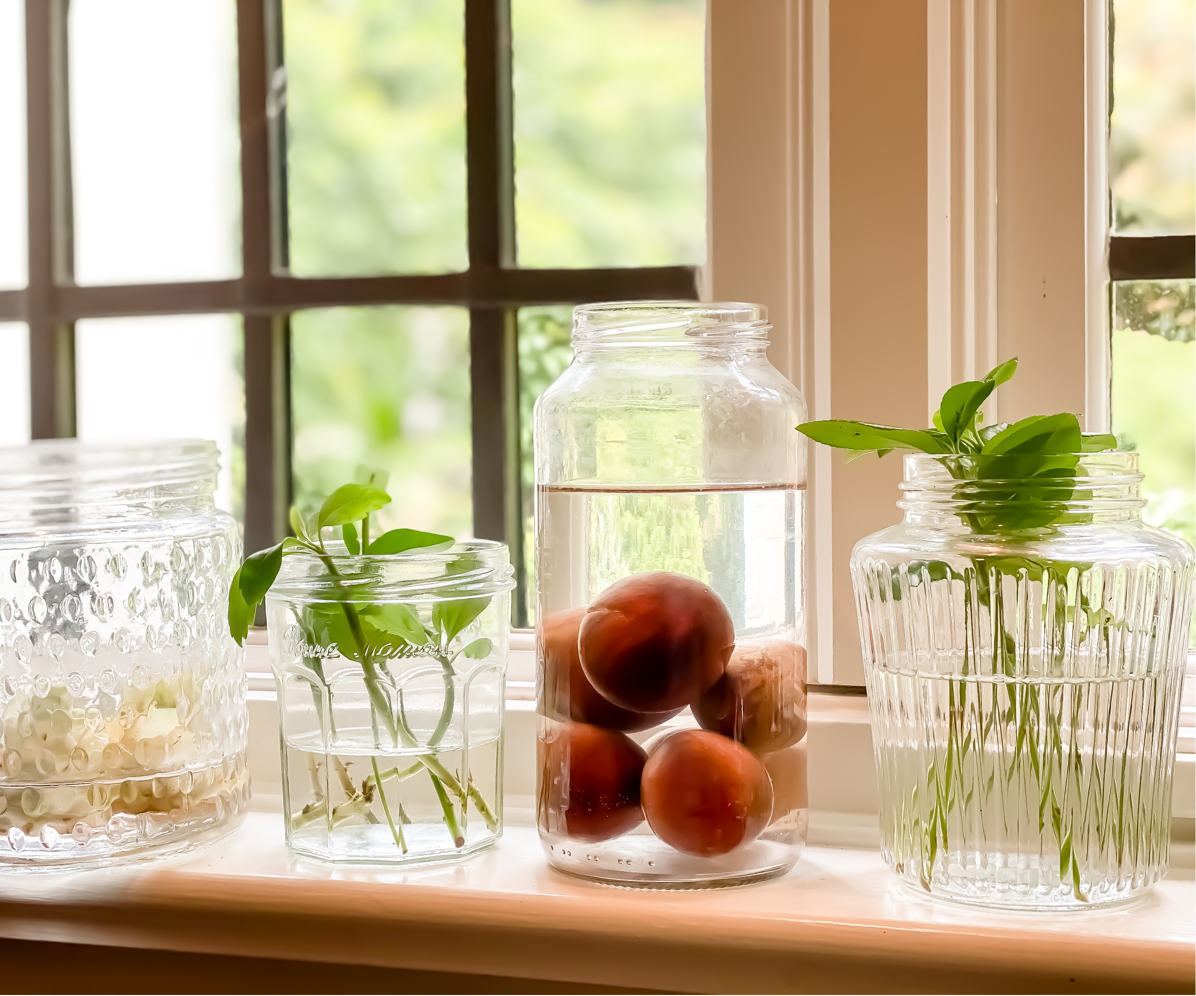 Hydroponics i glasskrukker