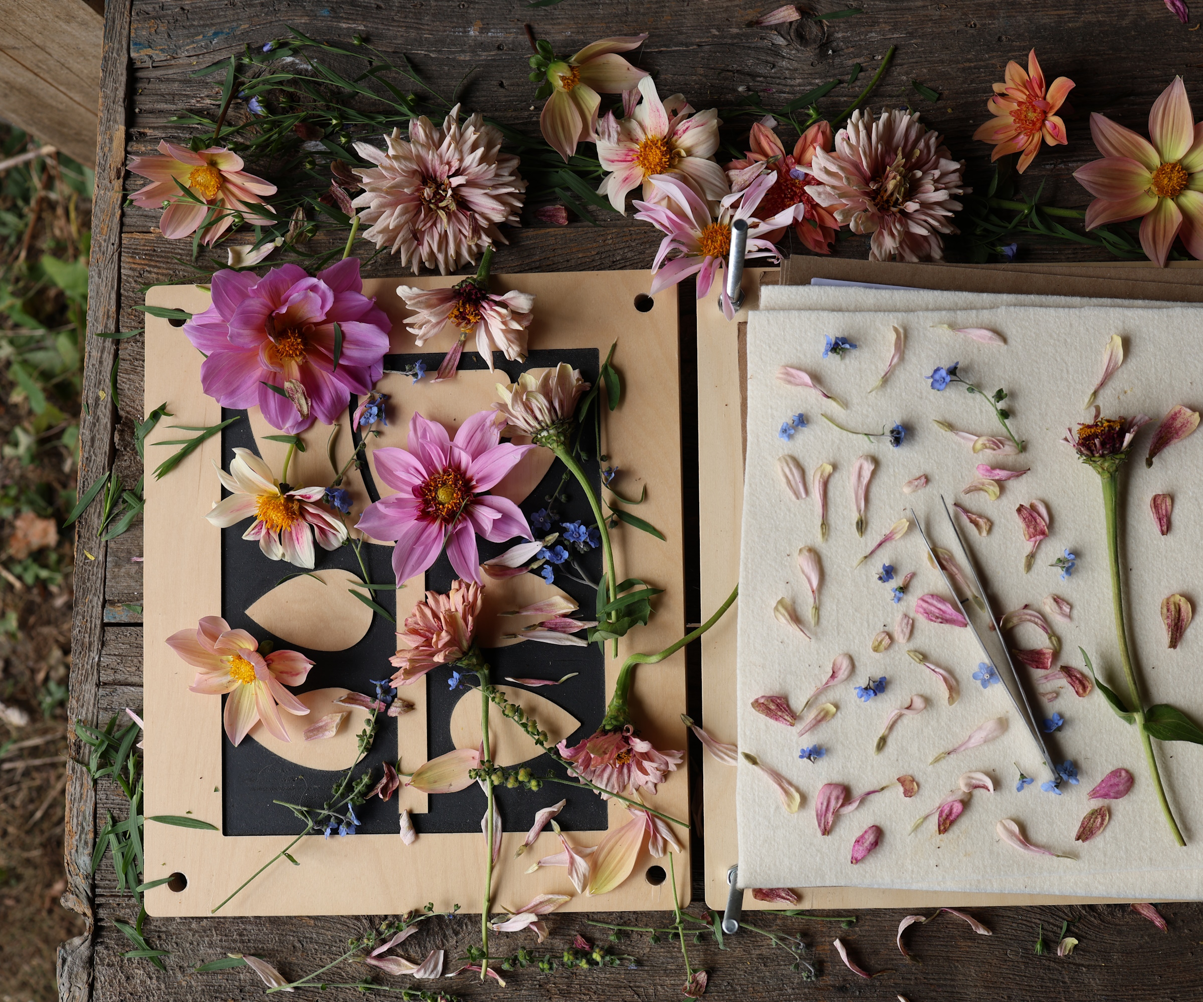 En sammensetning av presseklare kronblader, knopper, stilker, blader og blomster