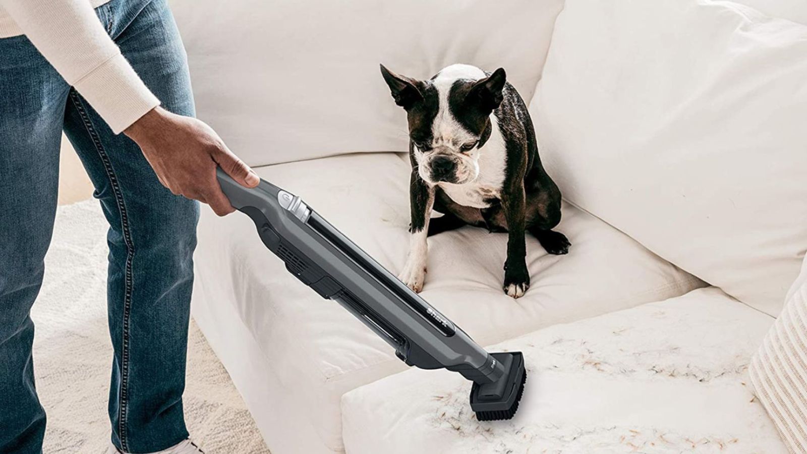 En hund på en hvit sofa, ser på en av de beste håndholdte støvsugere, Shark WandVac.