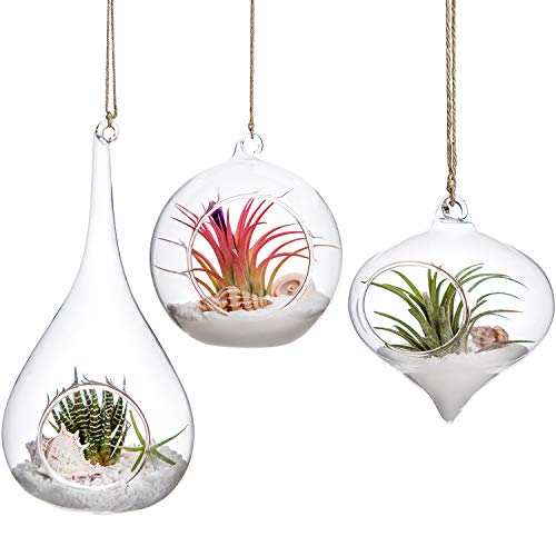 Mkono 3-paks hengende plantekasse i glass Luftbregneholder Terrariumplanter Hengevase, julepyntgaver til hjemmet til planteelskere, saftig mose Tillandsias luftplanter Globe (plante ikke inkludert)
