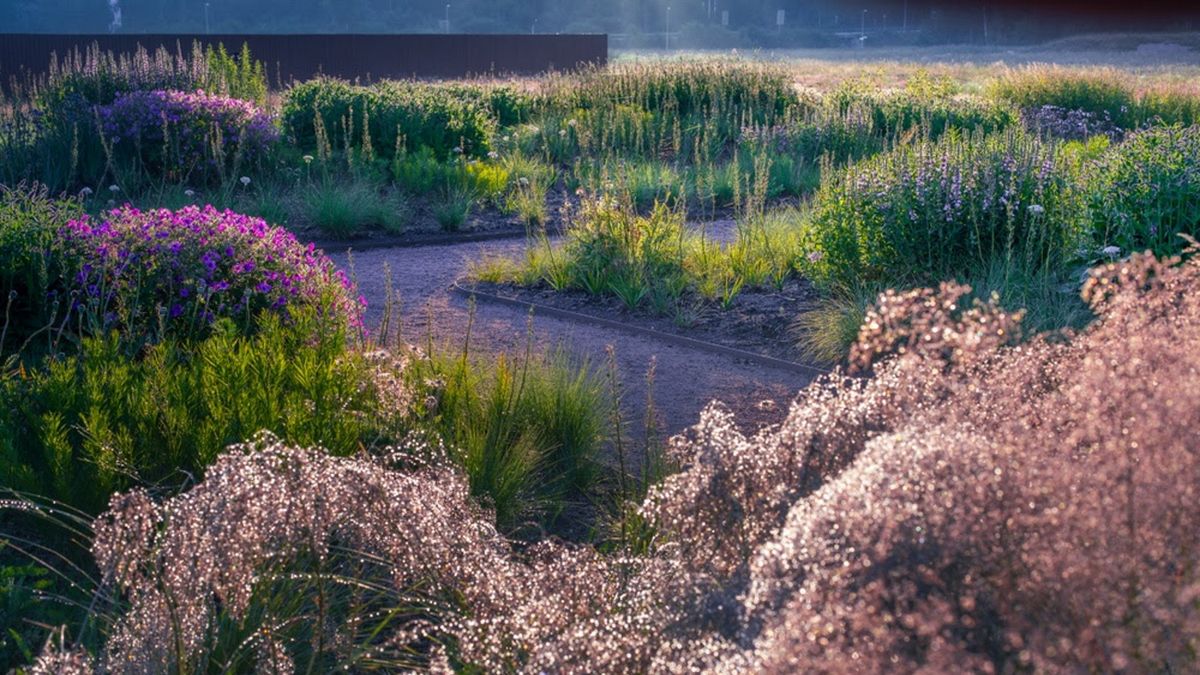 High Line Designer Piet Oudolf for å bringe varemerke naturalistisk planting til 'hjertet' av svensk kunst- og designmuseum