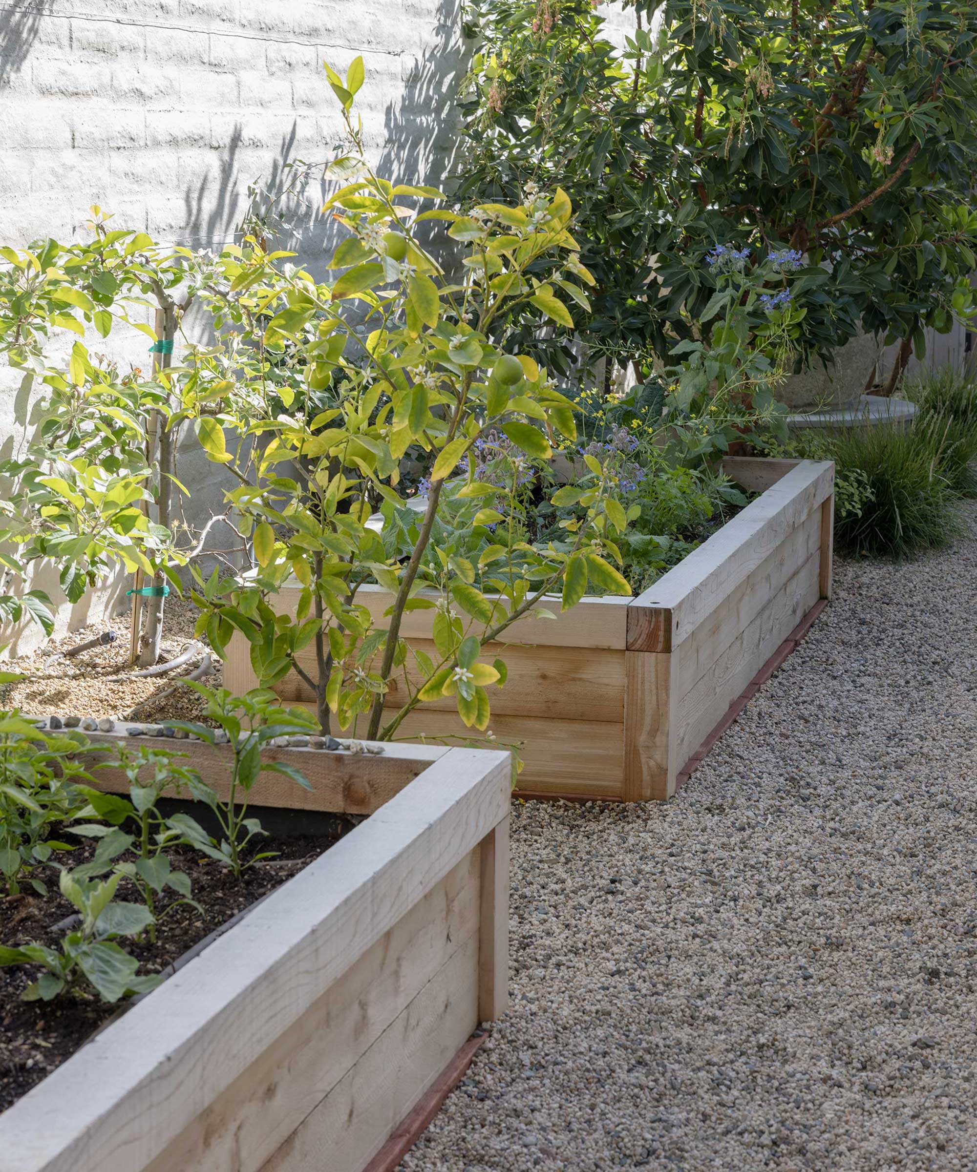 Raised Garden Beds in Quiet Cove Project av Garden Studio Design