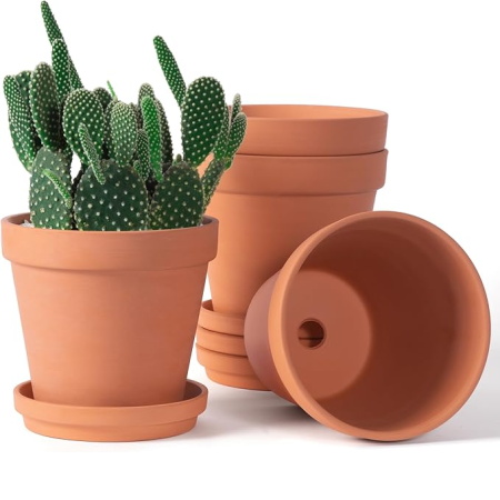 Amazon Terracotta Pots