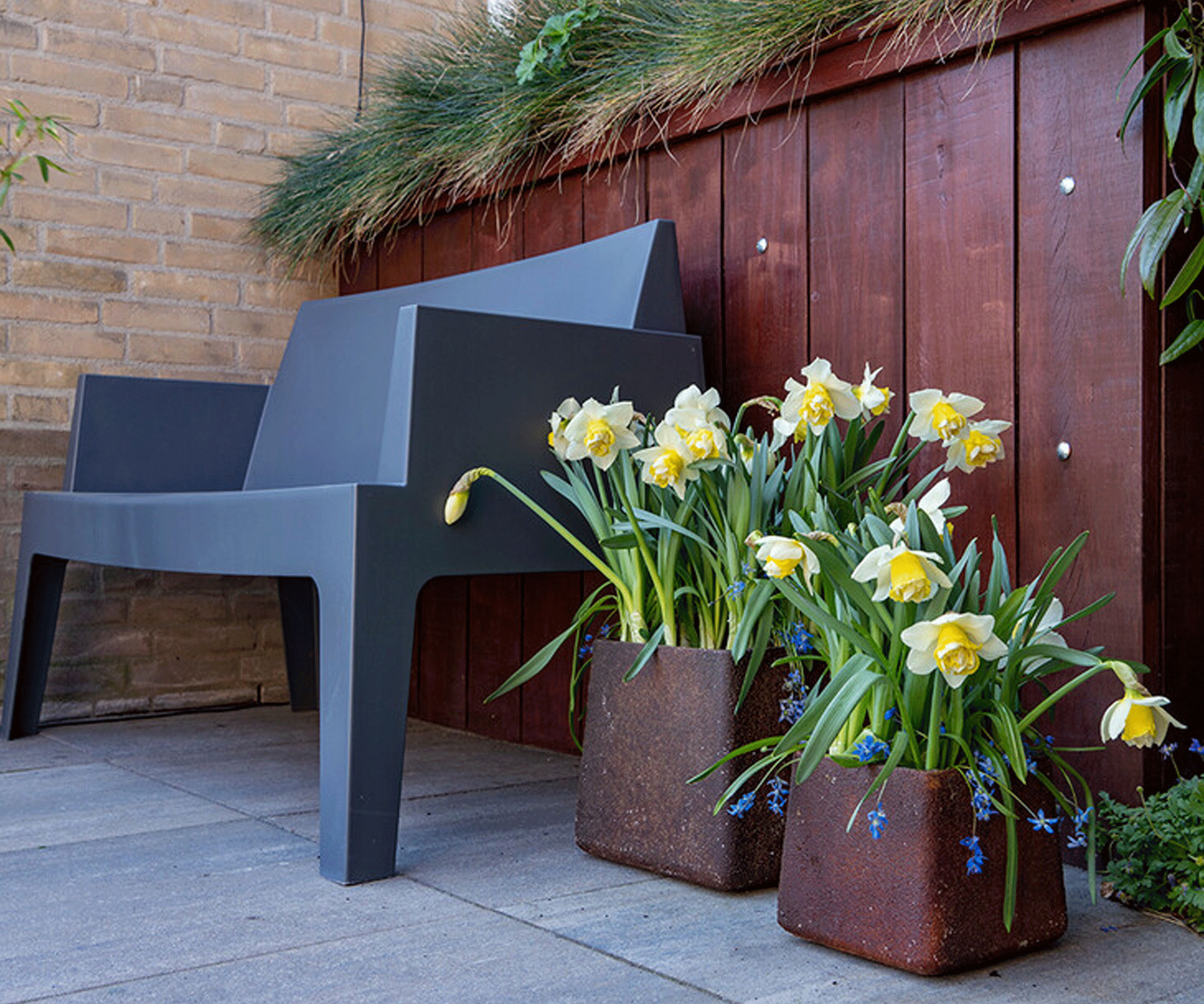 Spring Planters med Siberica Scilla og Double Pam Narcissus