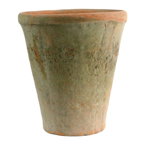 Homart Rustic Terra Cotta Rose Pot, stor, antikk rød, 1-telling (7683-0)