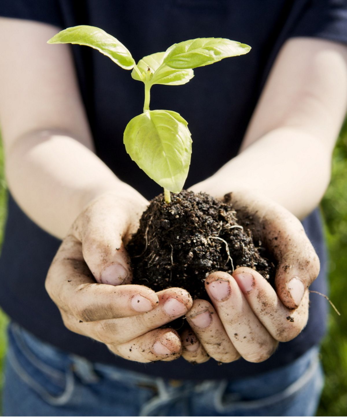 Horticulture Therapists lanserer kampanje for å utnytte en 'bedre forbindelse' mellom unge mennesker og natur midt i 'alarmerende trender' i ungdomshelse over hele USA