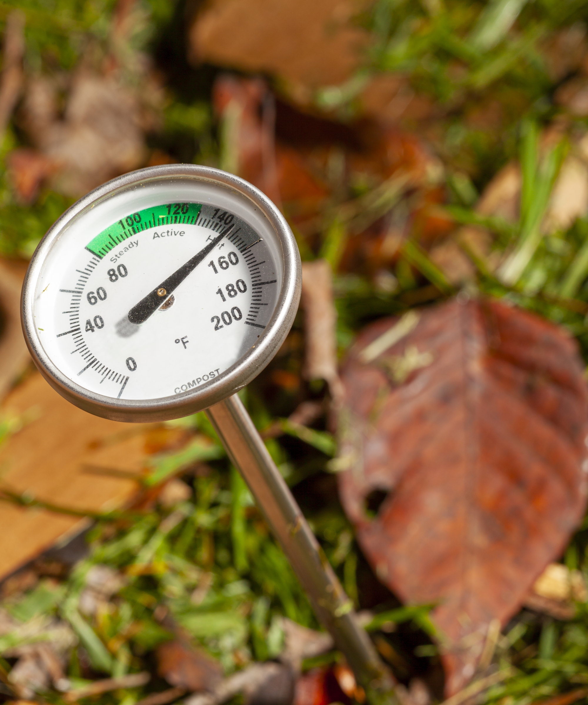 Et jordtermometer som måler temperaturen på komposten
