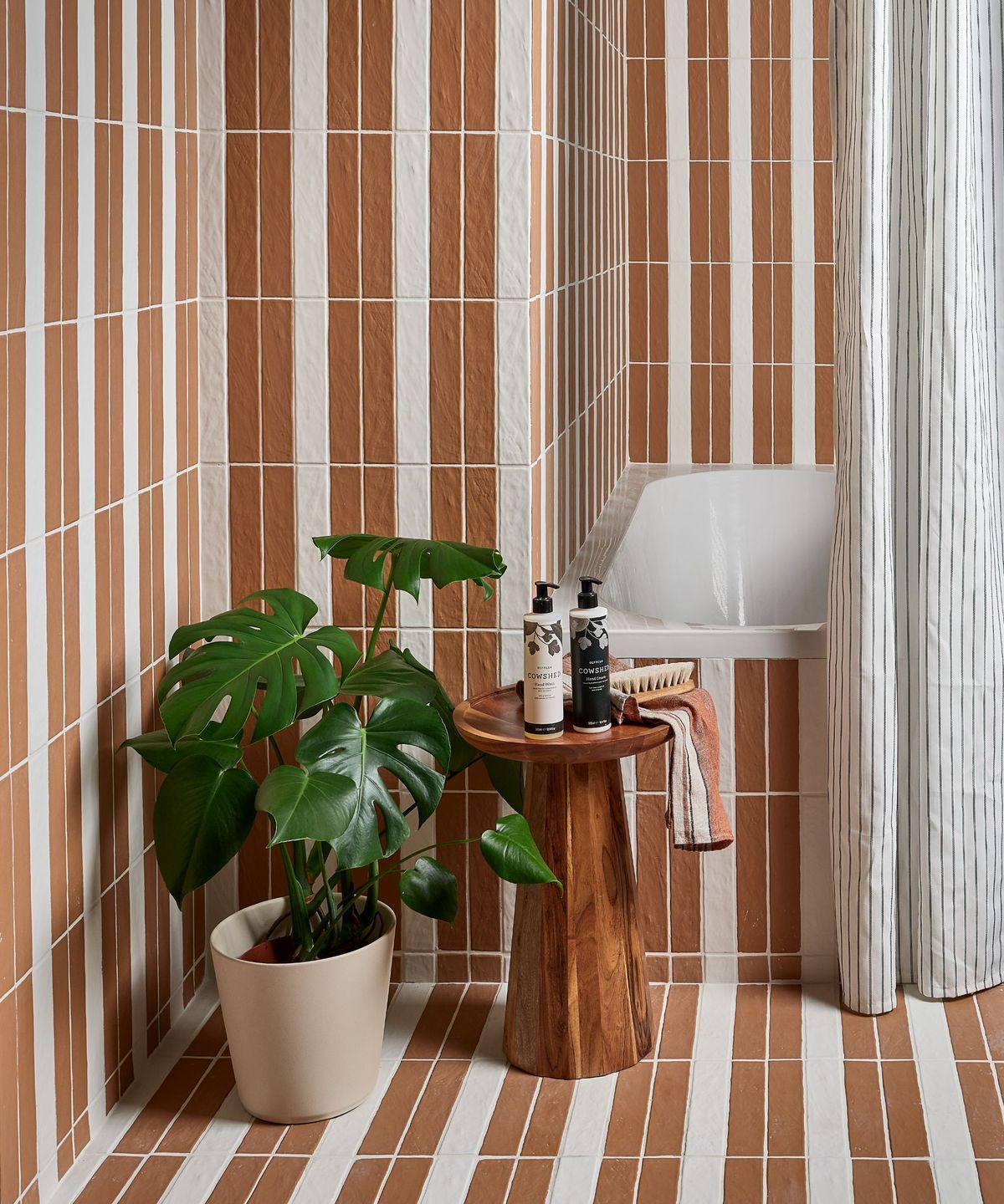 Hvor du kan plassere en monstera for å tiltrekke formue, overflod og positiv energi i hjemmet ditt, ifølge Feng Shui -eksperter