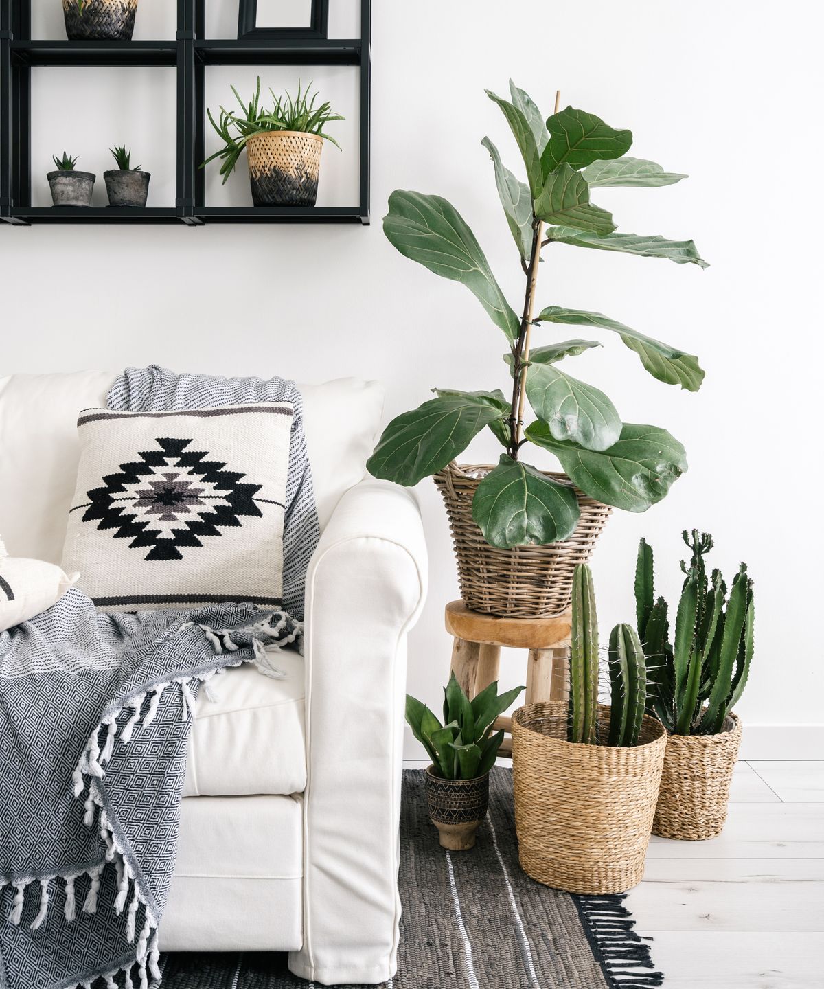 Disse $ 8 stuehanskene på husplanter gjorde at planten min forlater glossier enn noen gang - og jeg bruker dem til og med til å rense hjemmet mitt