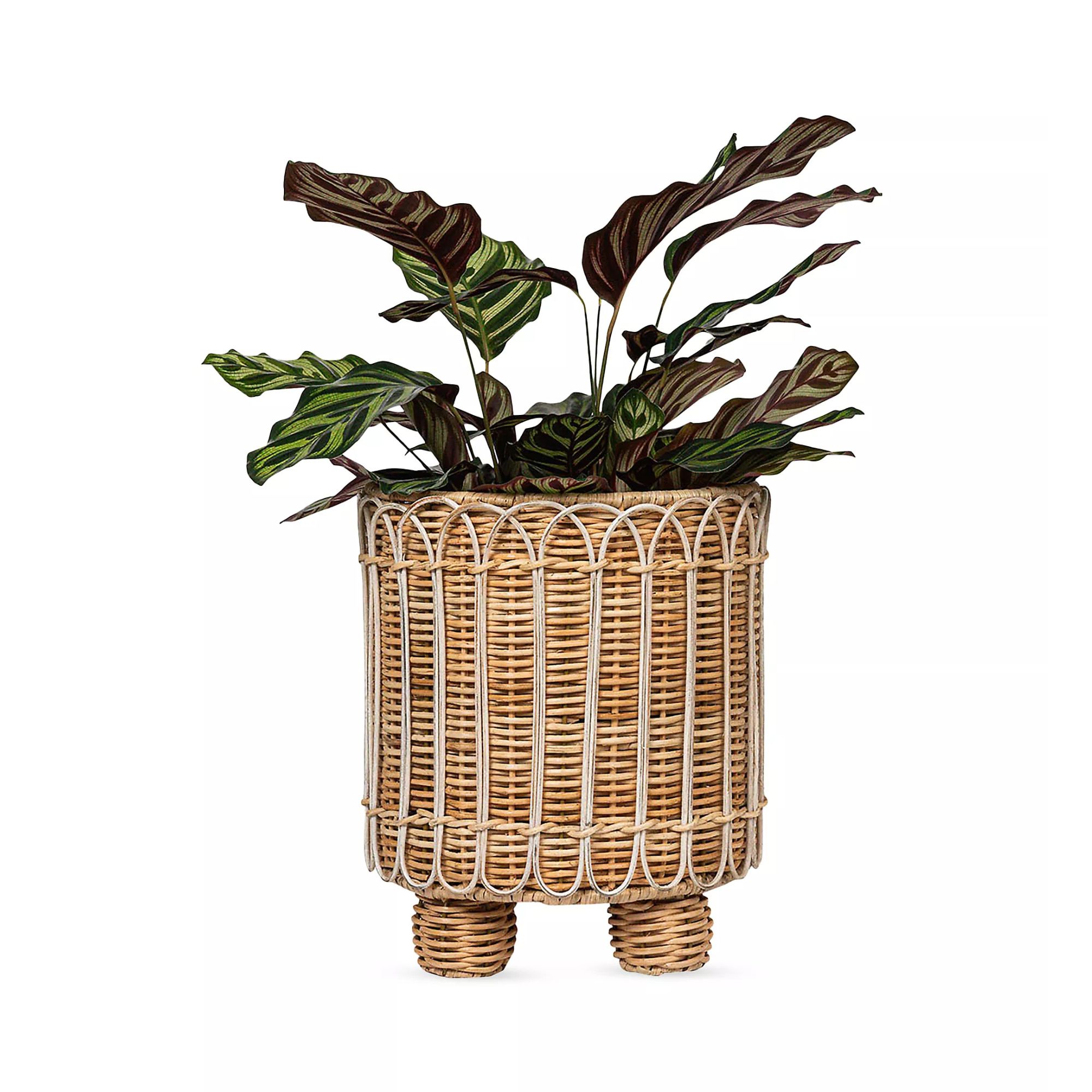 Juliska Provence Rattan Round Planter/8