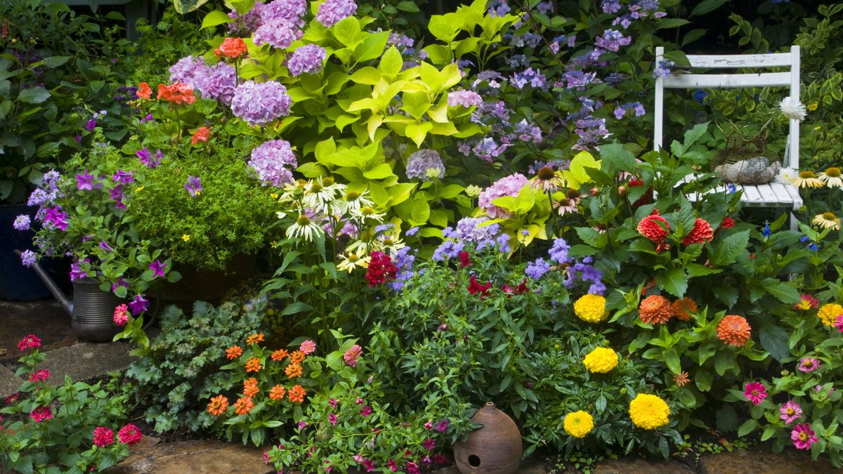 Jeg vokste blomster for blendende skjermer og kuttet i historiske hager - her er mine 7 viktige valg av de beste blomstene å så i mars
