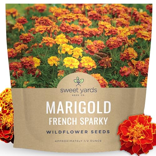 Marigold French Sparky - Stor 1/2 unse pakke - 4000 blomsterfrø for planting - Tagetes Patula