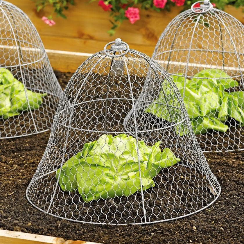 Gardener's Supply Company, Chicken Wire Cloche Plant Protector & Cover