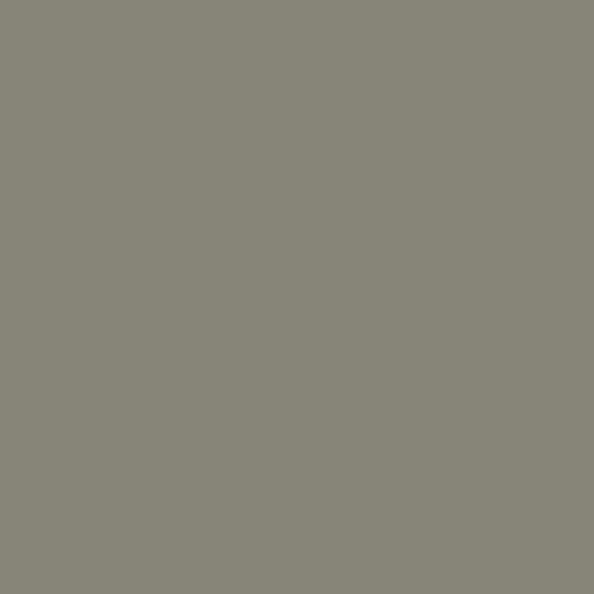 Sherwin Williams, Mountain Road SW 7743