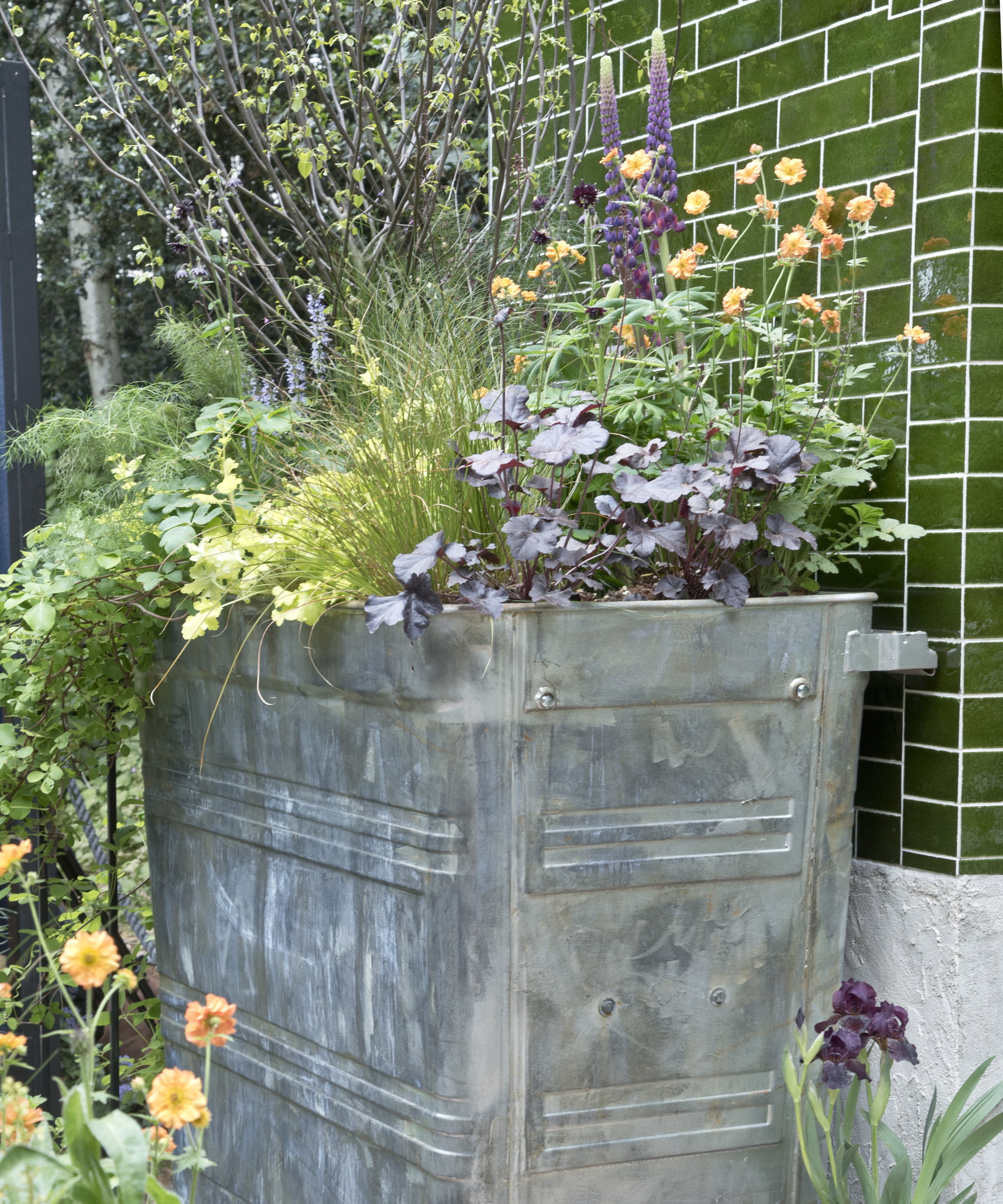 Blomstrende planter i en stor metallplanter