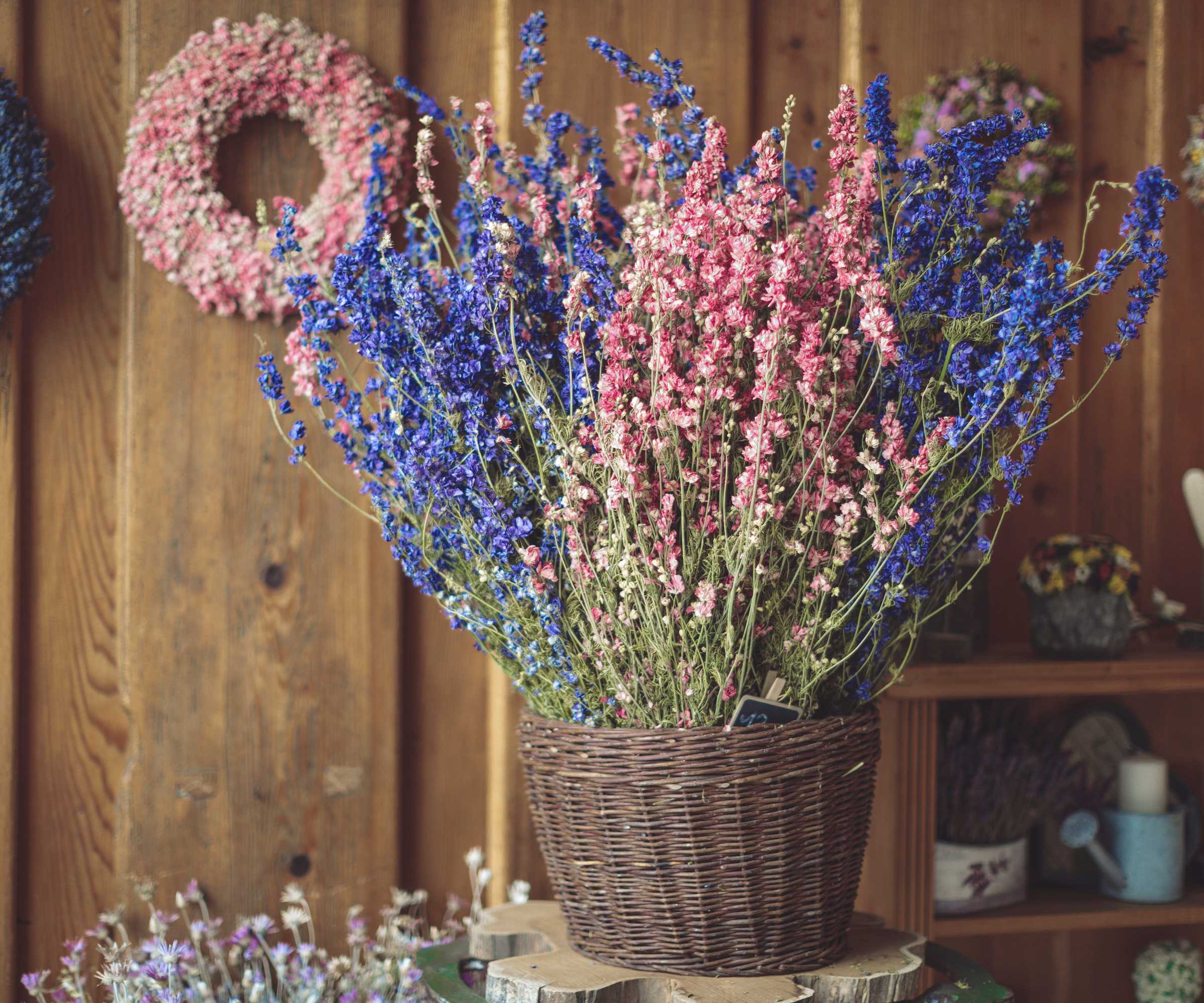 rosa og blå tørket larkspur blomster i en kurv
