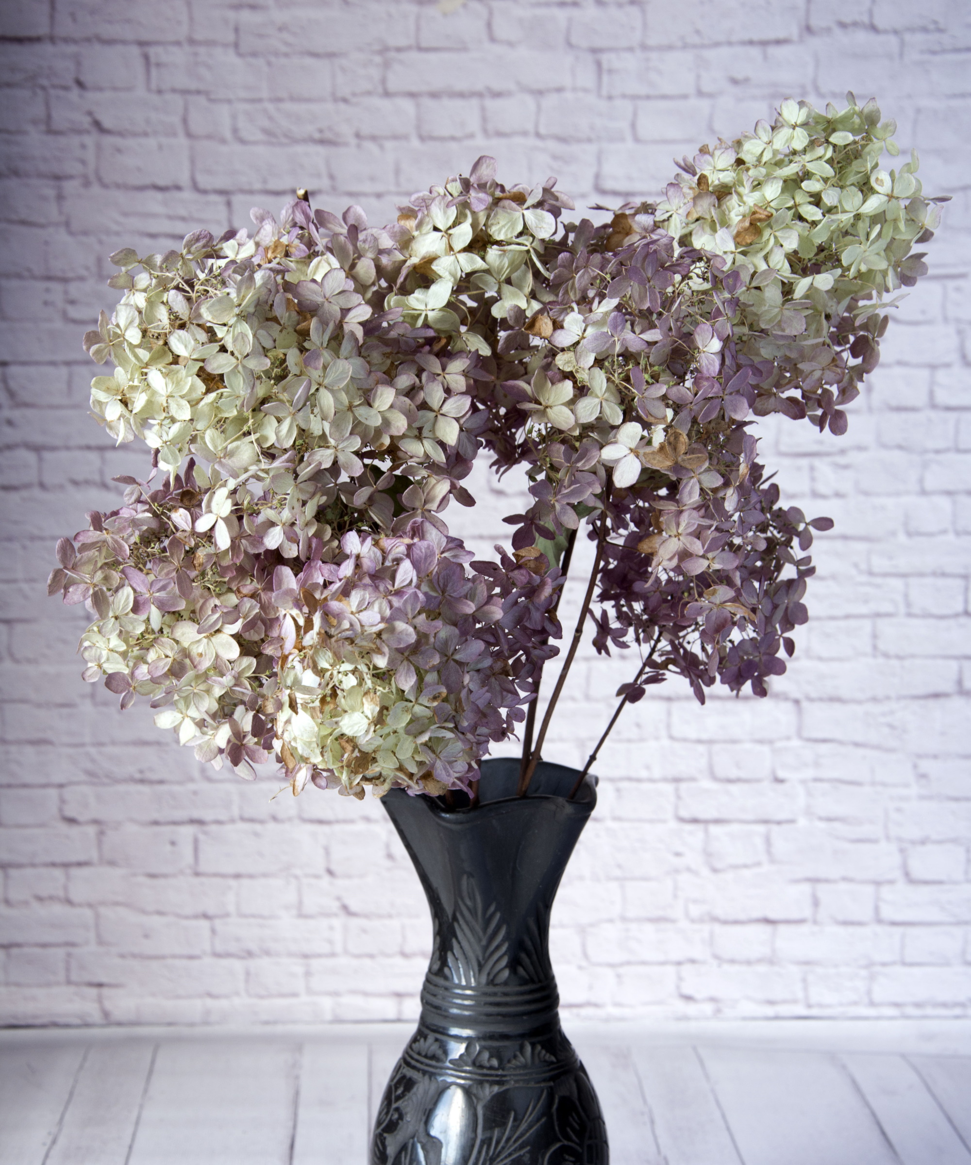 Tørkede hortensia stammer i mørk vase