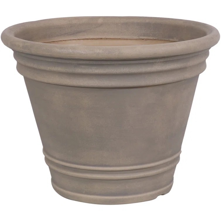 Wayfair / Charlton Home Pot