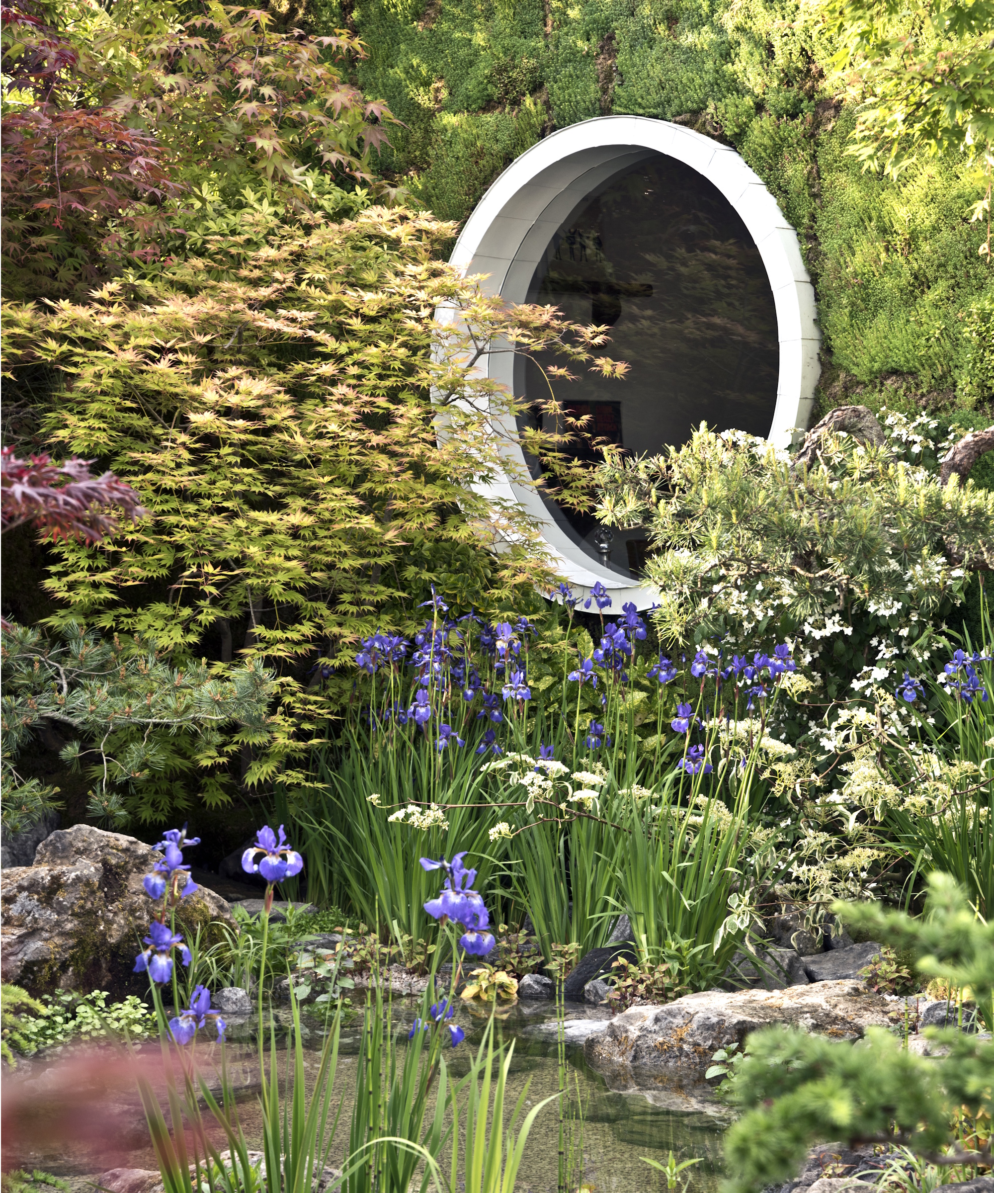 Chelsea Flower Show 2024