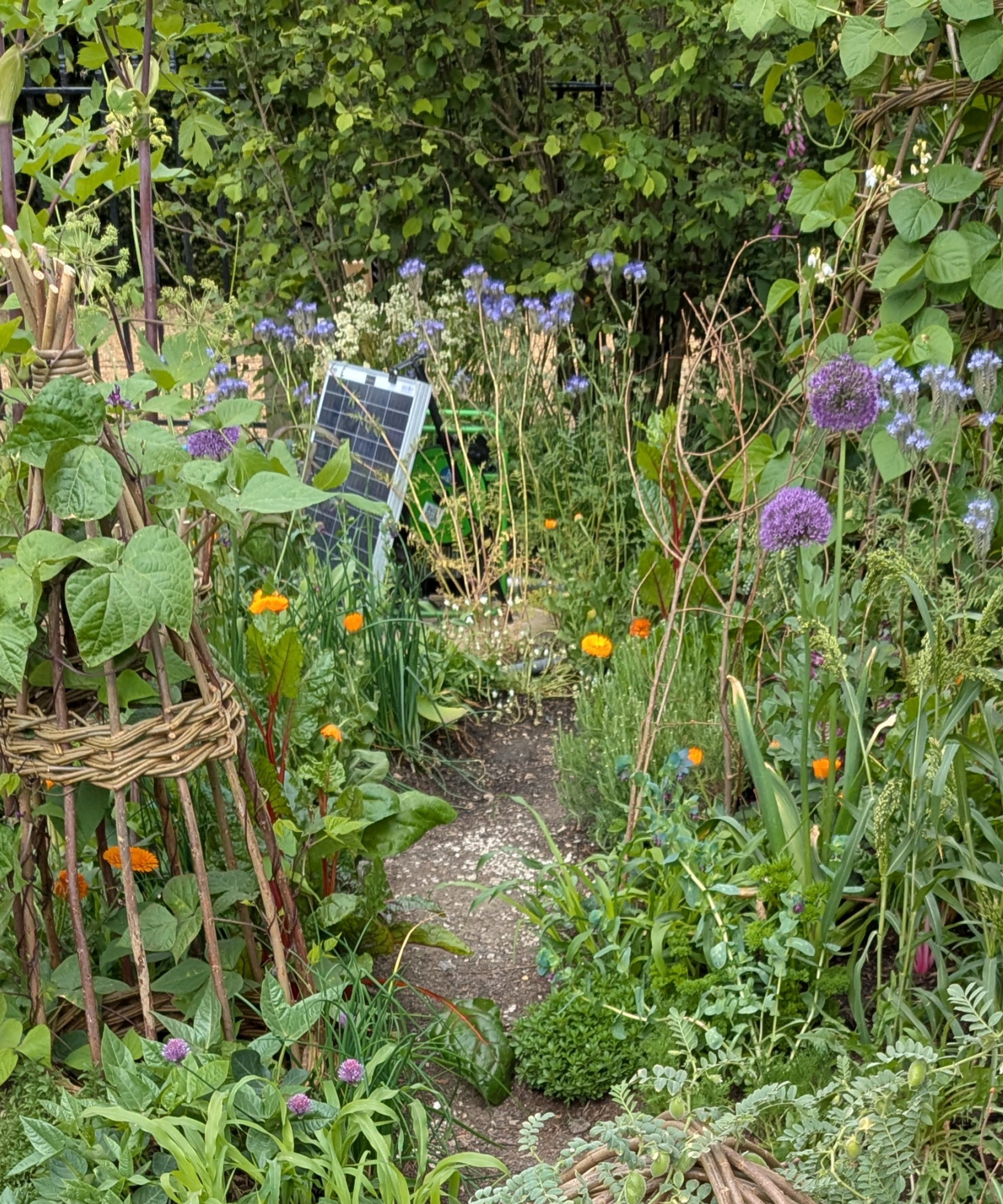Fremtidens hage på RHS Chelsea Flower Show