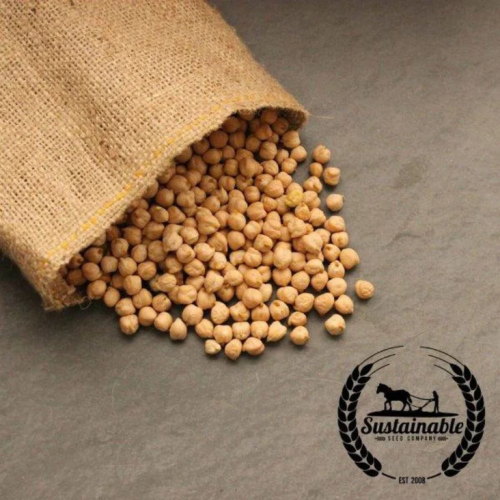 Bønnefrø - garbanzo