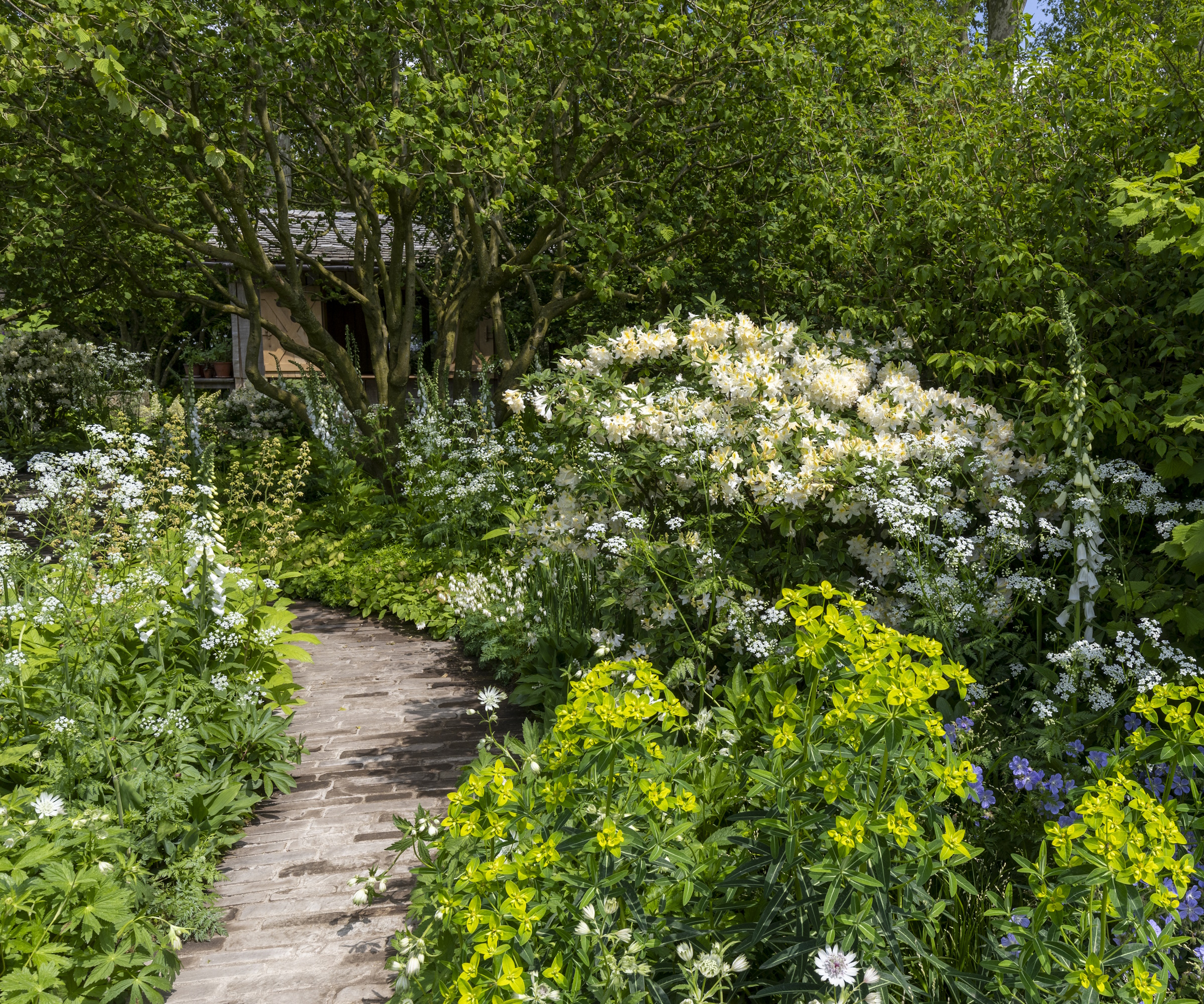 National Garden Scheme Garden