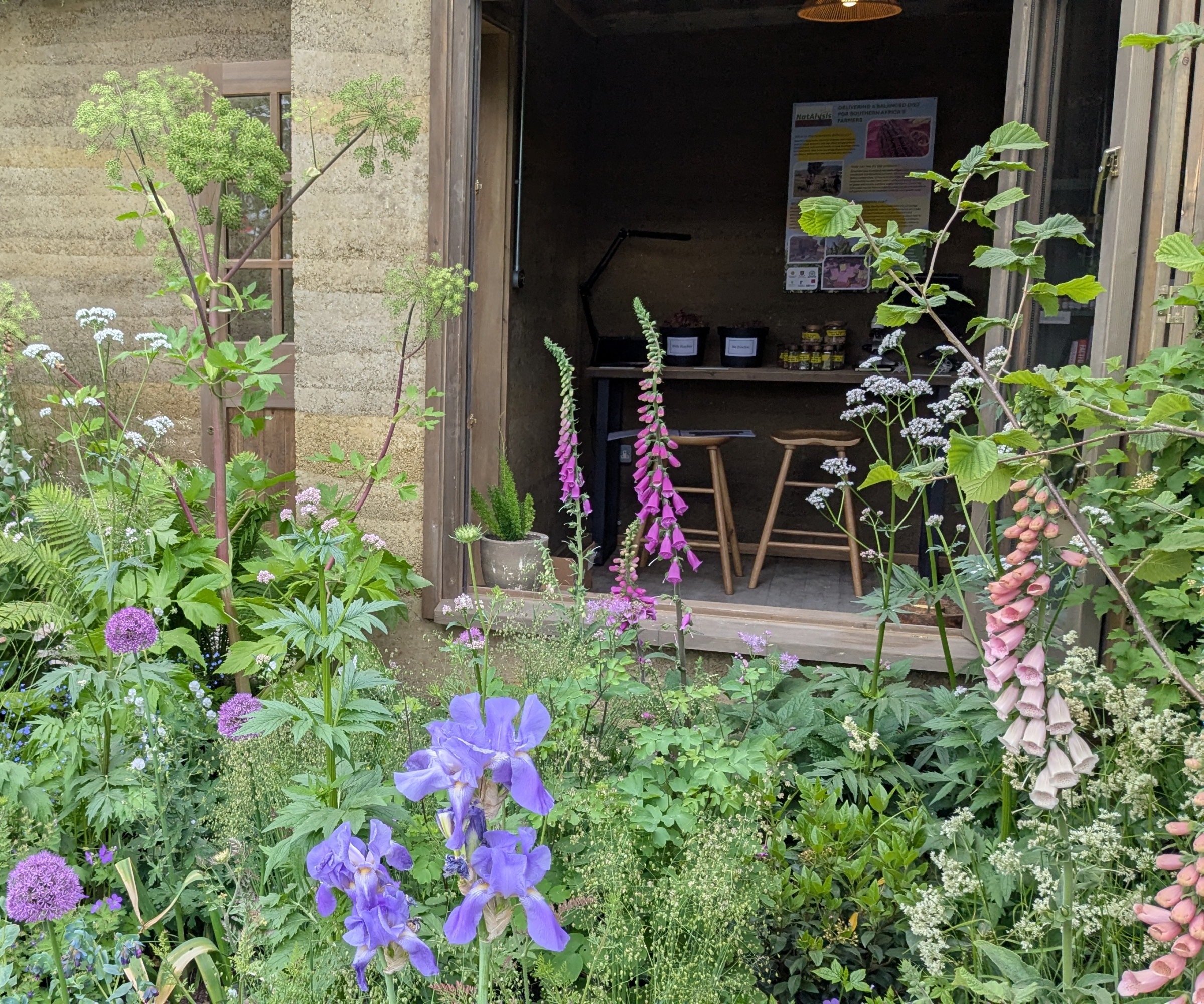 Fremtidens hage på RHS Chelsea Flower Show