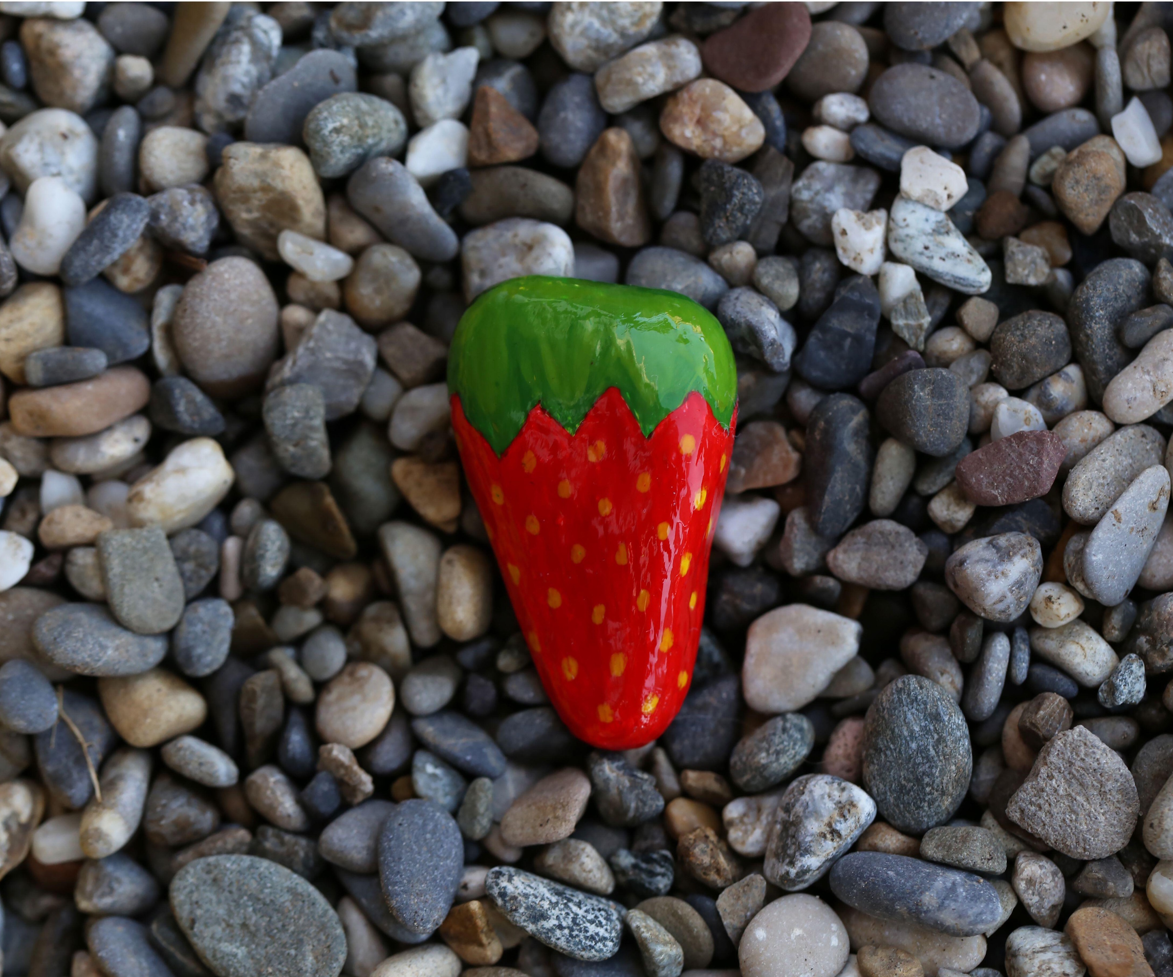 Strawberry Plant Red Rock Hack