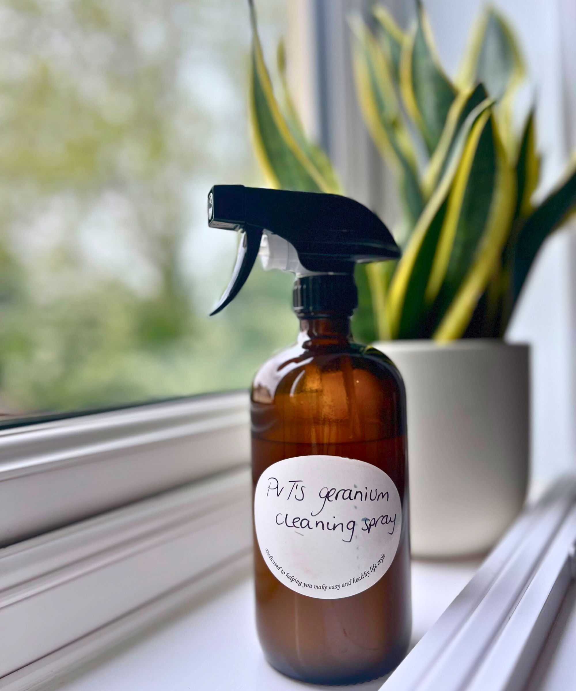 Essential Oil Window Cleaner i Amber -flaske på hvit vinduskarmer med slangeplante i bakgrunnen