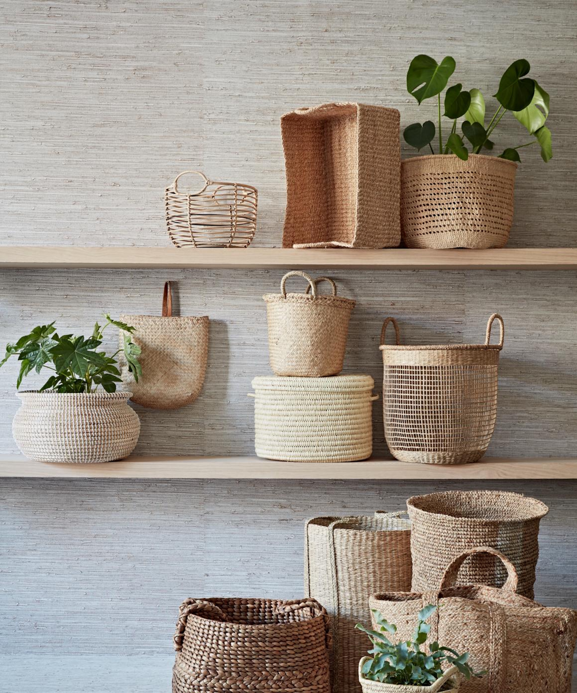 Monstera på hylla
